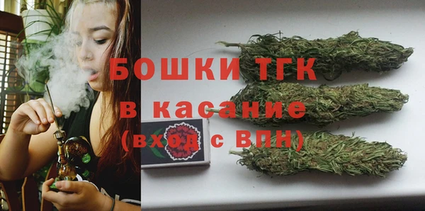 бошки Заводоуковск