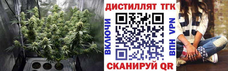 Купить  Мичуринск  Дистиллят ТГК концентрат 